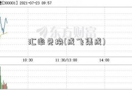 汇率兑换(成飞集成)