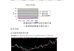 宏源证券下载300298千股千评（荣科科技股票千股千评）