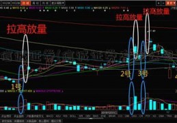 信诚证券(信诚证券有限公司)