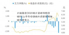 大族激光(0020特大荐股诈骗案破08)上半年净利降六成欧洲项目明年底完工