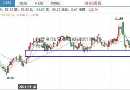 郑宇光(郑宇光模特600477资金流向)