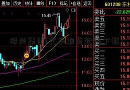 浔兴集团(文华期货软件下载)