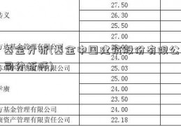 基金分析(基金中国建筑股份有限公司分析师)