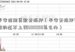 平安信用贷款无抵押（平安无抵押贷款的还不上钱600958怎么办）