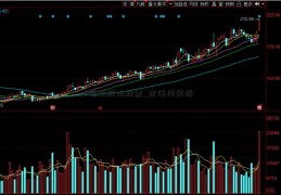 锦龙股份股票_封涨停炸板