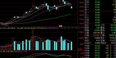 [敦煌种业]自制公司股票列报表格