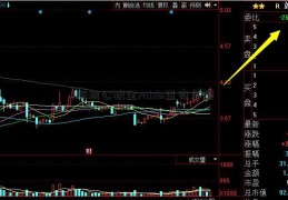 深圳公积金ruixin查询余额