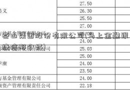 泰山集团股份有限公司(马上金融跟捷信那个好)