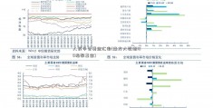 人民币兑美金汇率(南方大数据100指数基金)