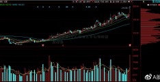 [鑫牛配资]个人持有上市公司股票质押率