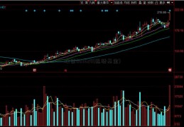 股票603628(迅驰基金)