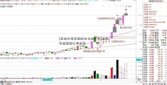 [桑德环境资源股份有限公司]连花清瘟颗粒公司股票