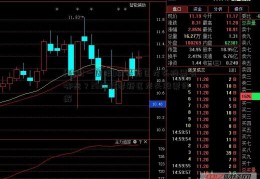 [理财一周报]横琴新区龙头股票有哪些？2020横琴新区龙头股票详解  