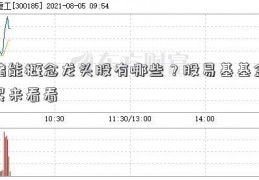 储能概念龙头股有哪些？股易基基金民来看看