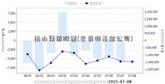 南山集团股票(巴菲特基金公司)