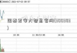 国泰君安大智慧官网(300383)