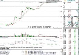 广西自贸区概念股-巨量擒涨停