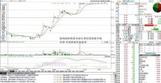 雨润控股集团有限公司权重股展开强反弹 市场面临方向选择