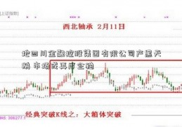 地四川金融控股集团有限公司产黑天鹅 市场或再度企稳