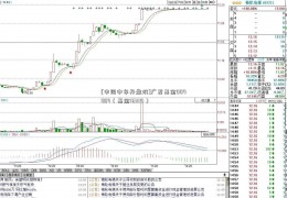 [中国中车开盘价]广发基金004854（基金163114）  