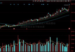 [如何选股]游资频繁出入海南板块 海峡股份三日下跌三成