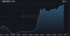 300193(头盔股票)