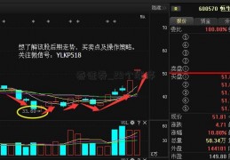 泰证券_29个涨停