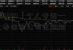 「600380」个人专访—–记百年人寿保险公司王翩翩