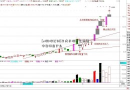 [a股b股区别]高成长股票主要集中在哪些行业  