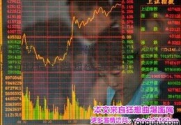 国泰君安维持鱼跃医疗增持评级 目标价捷信金融查还款46.8元