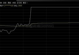 极速网络(600452)