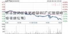 买基金好还是买股票好(广汇能源股份有限公司)