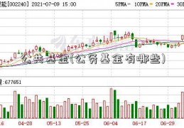 公共基金(公务基金有哪些)