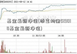 基金最新净值(添富均衡519018基金最新净值)