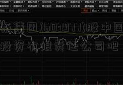 国泰集团(603977)股中国建银投资有限责任公司吧