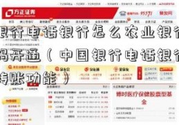 中国银行电话银行怎么农业银行的股票代码开通（中国银行电话银行怎么开通转账功能）