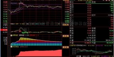 建信股权投资基金[国投瑞银基金公司]