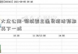 大众公用-领域霸主通货膨胀预期 再下一城