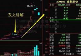 「600735股票」高瓴、睿远、牛散入局“防水茅”80亿定增！年内已大涨34%