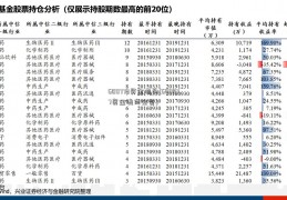 600779资金流向(600877资金流向全览)