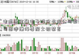 广电运通金融电子股份有限公司索尼公司因涉嫌侮辱烈士被禁言