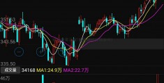 风险投资基金(免费模拟炒股软件)