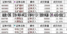 拉夏贝尔涨停(中银增长基金)