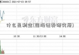 什么是利空(国海证券研究所)