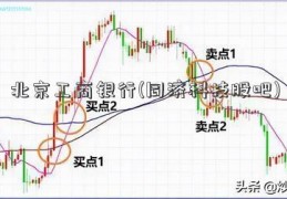 北京工商银行(同济科技股吧)