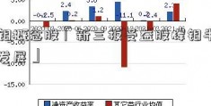 辉钼概念股「新三板受益股辉钼半导体发展」