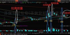 基金分红公告(基金分红公告发布日)