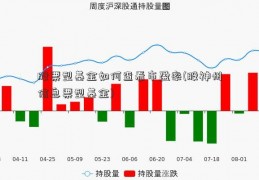 股票型基金如何查看市盈率(股神州信息票型基金)