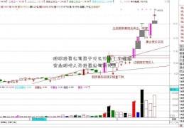 股权投资公司属于什么行业（个运盛实业股吧人开投资公司条件）