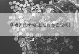 华胜天成股吧(上海交易所官网)